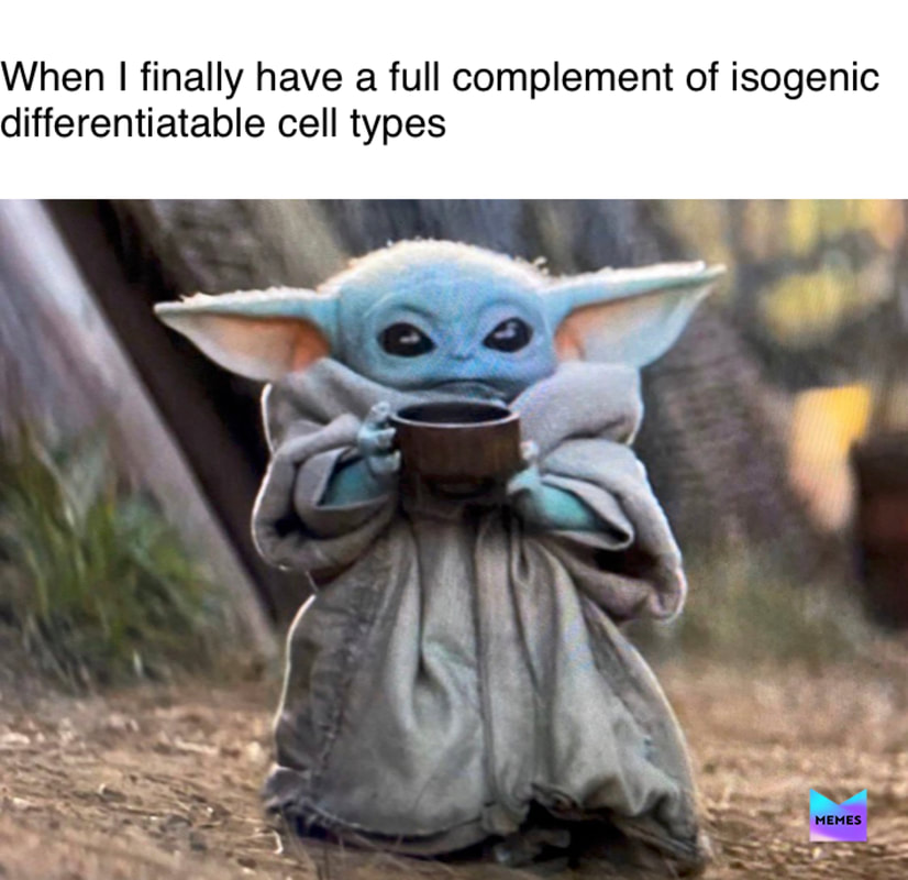 Baby Yoda Memes Improve Patient Compliance